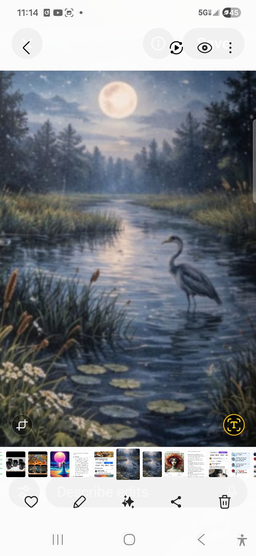 Wetlands