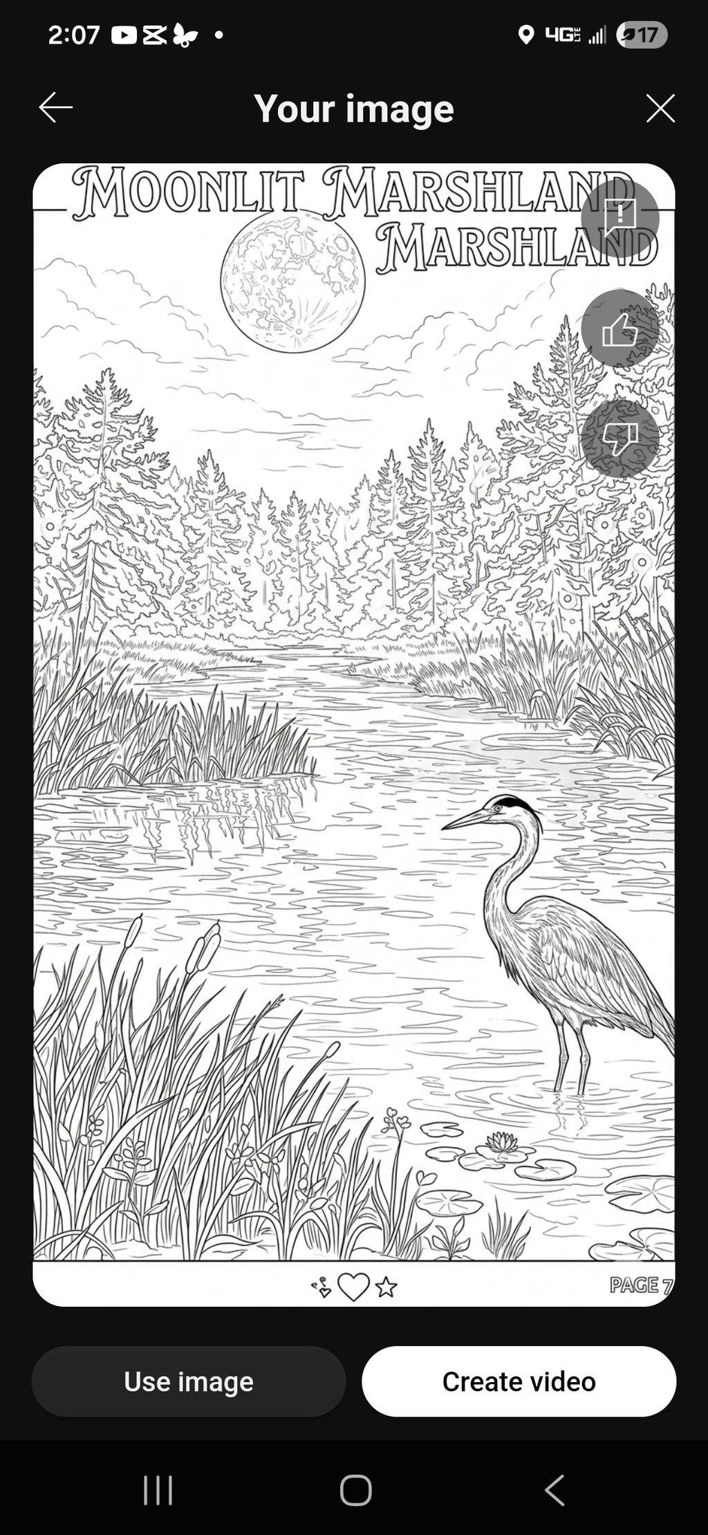 Timmy Turtle's Adventures Digital Coloring Book