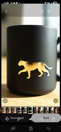 Cougar Mug Set -  3  companion mugs (15oz).